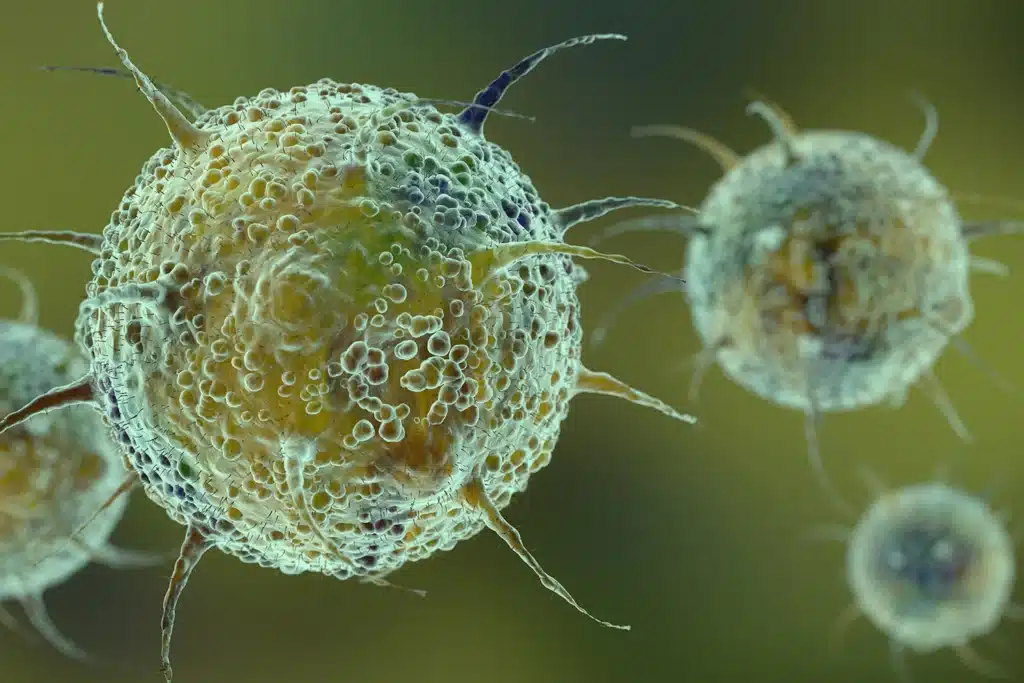 Chikungunya