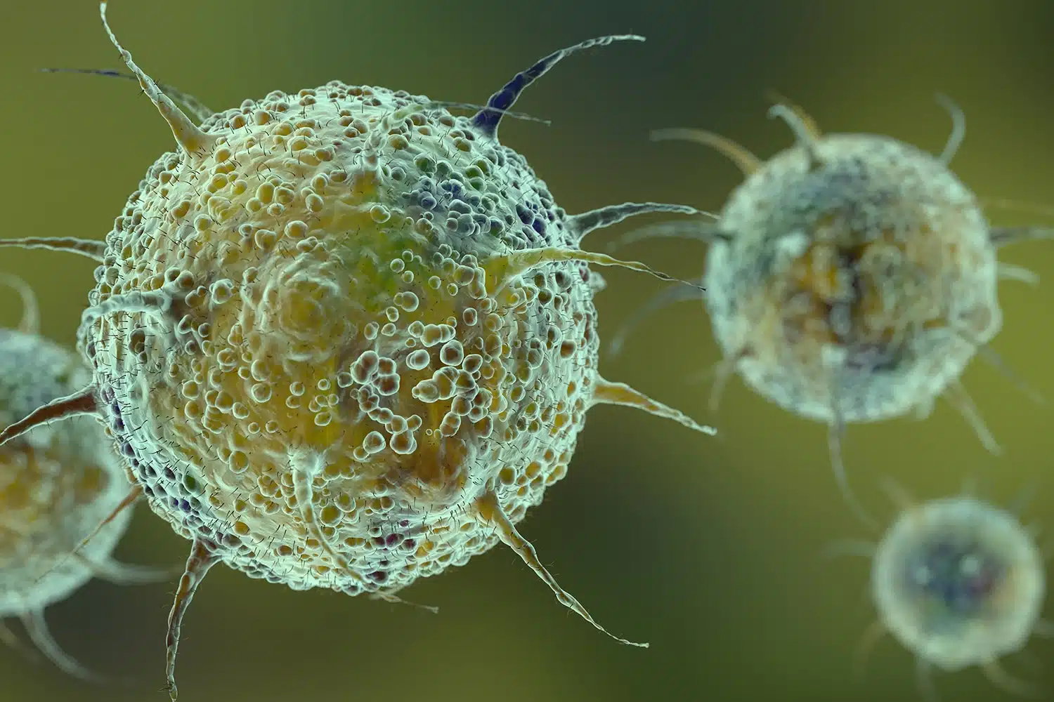 Chikungunya